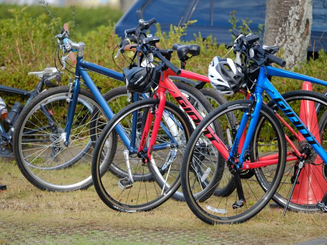 地元の専門ガイド同行！霞ヶ浦・桜めぐりとイチゴ狩りサイクリングツアー