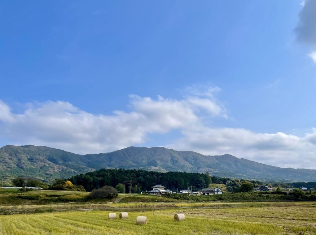 | 自転車の旅 | にほんの里100選の里山「八郷」春の恵みを訪ねて