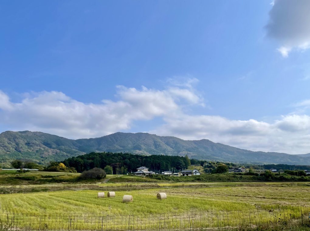 | vita | 秋の「にほんの里100選 八郷」を巡る 里山・恵みの食旅